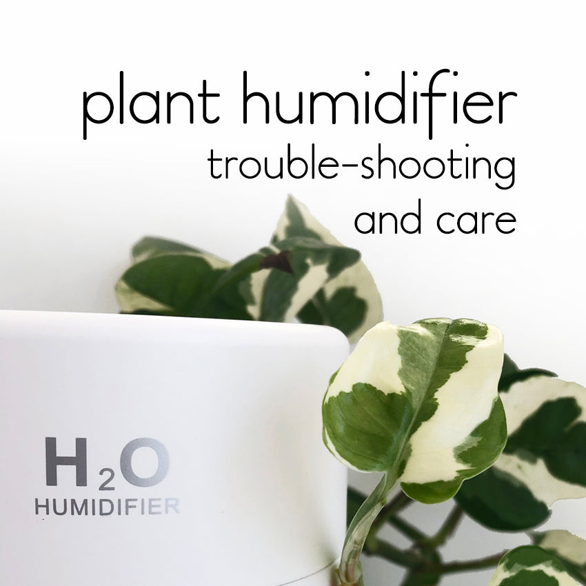 Humidifier Costs, Care, Maintenance, Problems and Trouble-Shooting